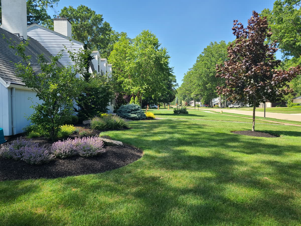 Healthy, well-manicured residential lawn maintained by Brunner Landscape in Northeast Ohio